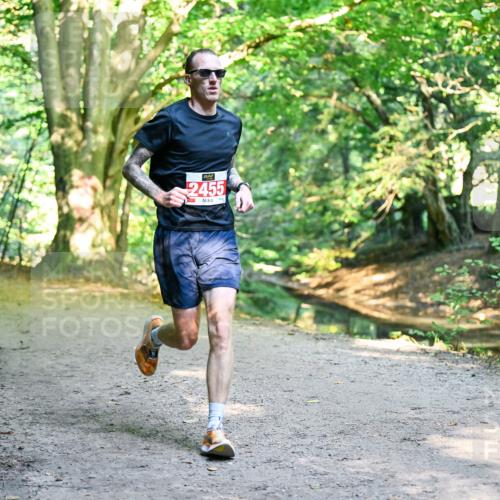 28.09.2025 - 33. Volkslauf durch das schöne Alstertal Dr. Thomas Lammeyer http://msf.ph/oto/8953117 28.09.2025 10:33:50 Laufen 2455 meine-sportfotos.de