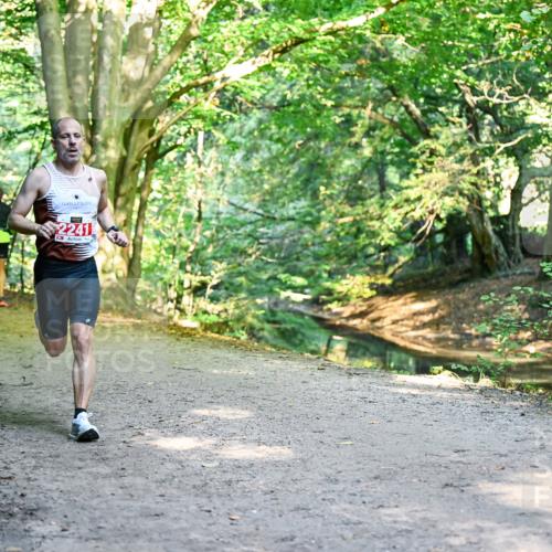 28.09.2025 - 33. Volkslauf durch das schöne Alstertal Dr. Thomas Lammeyer http://msf.ph/oto/8953153 28.09.2025 10:33:59 Laufen 2241 meine-sportfotos.de