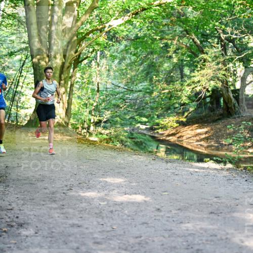28.09.2025 - 33. Volkslauf durch das schöne Alstertal Dr. Thomas Lammeyer http://msf.ph/oto/8953248 28.09.2025 10:34:28 Laufen 2651 meine-sportfotos.de