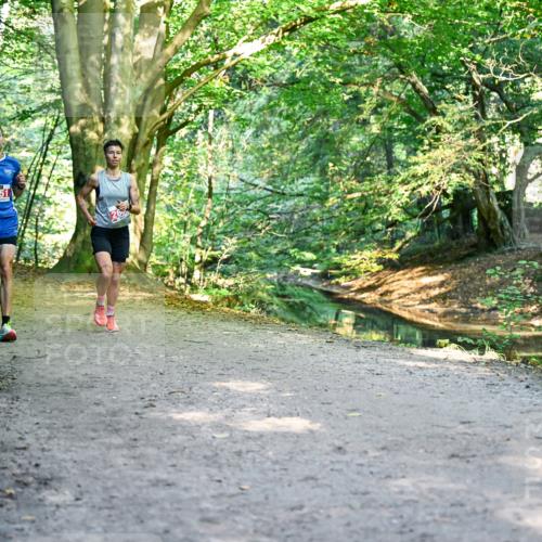 28.09.2025 - 33. Volkslauf durch das schöne Alstertal Dr. Thomas Lammeyer http://msf.ph/oto/8953250 28.09.2025 10:34:28 Laufen 2651, 26 meine-sportfotos.de
