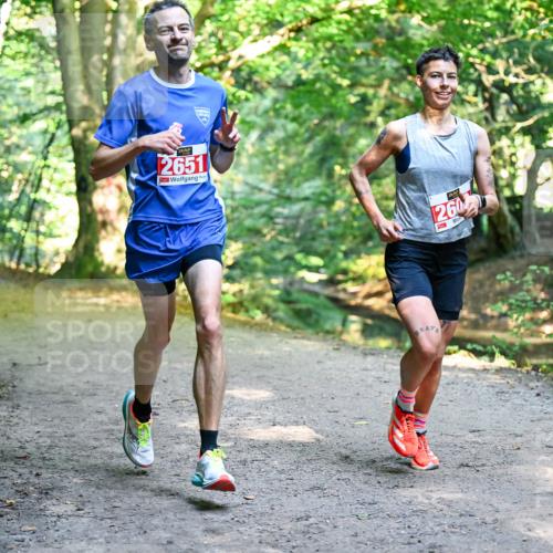 28.09.2025 - 33. Volkslauf durch das schöne Alstertal Dr. Thomas Lammeyer http://msf.ph/oto/8953270 28.09.2025 10:34:30 Laufen 2651, 260 meine-sportfotos.de