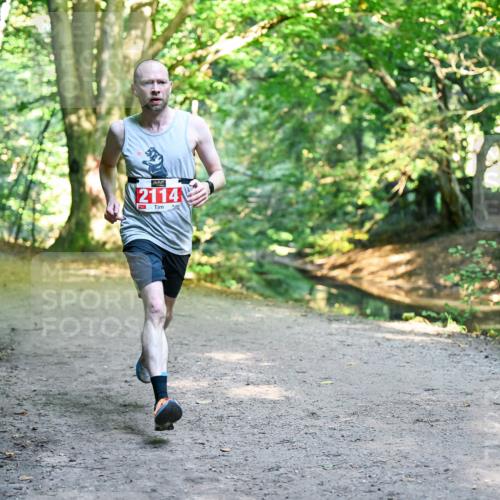 28.09.2025 - 33. Volkslauf durch das schöne Alstertal Dr. Thomas Lammeyer http://msf.ph/oto/8953282 28.09.2025 10:34:41 Laufen 2114 meine-sportfotos.de