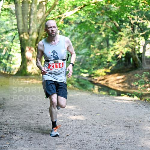 28.09.2025 - 33. Volkslauf durch das schöne Alstertal Dr. Thomas Lammeyer http://msf.ph/oto/8953284 28.09.2025 10:34:41 Laufen 2114, 117 meine-sportfotos.de