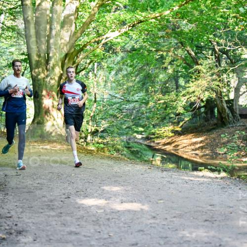28.09.2025 - 33. Volkslauf durch das schöne Alstertal Dr. Thomas Lammeyer http://msf.ph/oto/8953313 28.09.2025 10:34:55 Laufen  meine-sportfotos.de
