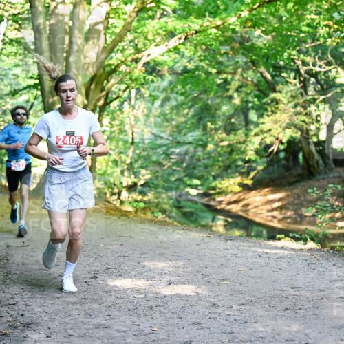 28.09.2025 - 33. Volkslauf durch das schöne Alstertal Dr. Thomas Lammeyer http://msf.ph/oto/8953344 28.09.2025 10:34:59 Laufen 2405 meine-sportfotos.de