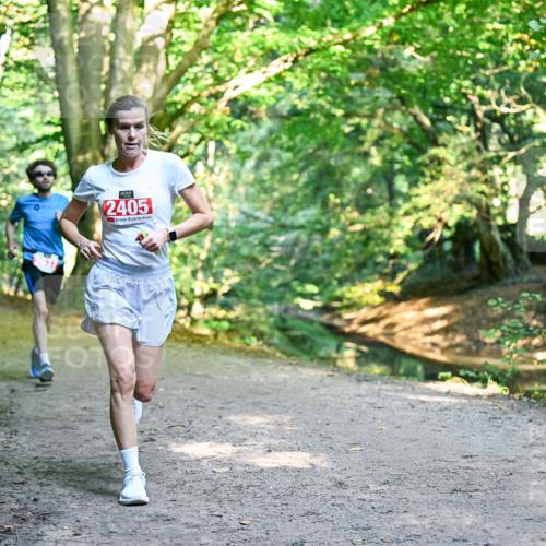 28.09.2025 - 33. Volkslauf durch das schöne Alstertal Dr. Thomas Lammeyer http://msf.ph/oto/8953347 28.09.2025 10:34:59 Laufen 2405 meine-sportfotos.de