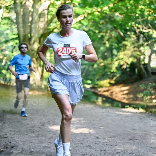 28.09.2025 - 33. Volkslauf durch das schöne Alstertal Dr. Thomas Lammeyer http://msf.ph/oto/8953353 28.09.2025 10:34:59 Laufen 2405 meine-sportfotos.de