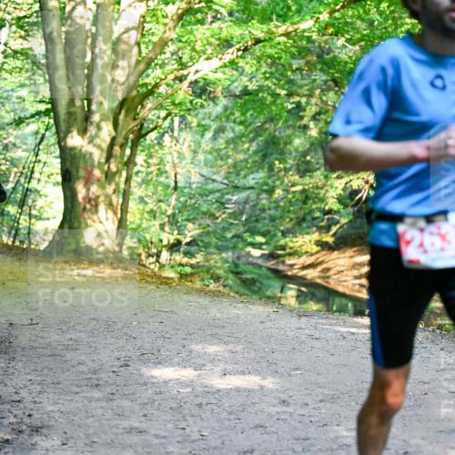 28.09.2025 - 33. Volkslauf durch das schöne Alstertal Dr. Thomas Lammeyer http://msf.ph/oto/8953364 28.09.2025 10:35:01 Laufen  meine-sportfotos.de