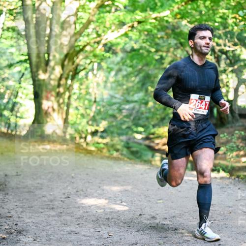 28.09.2025 - 33. Volkslauf durch das schöne Alstertal Dr. Thomas Lammeyer http://msf.ph/oto/8953383 28.09.2025 10:35:05 Laufen 2647 meine-sportfotos.de