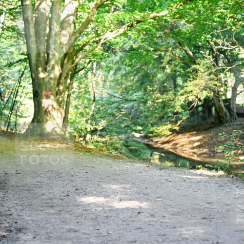 28.09.2025 - 33. Volkslauf durch das schöne Alstertal Dr. Thomas Lammeyer http://msf.ph/oto/8953393 28.09.2025 10:35:05 Laufen 2030 meine-sportfotos.de