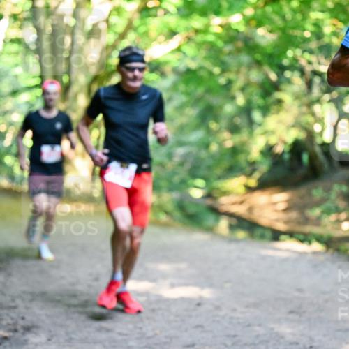 28.09.2025 - 33. Volkslauf durch das schöne Alstertal Dr. Thomas Lammeyer http://msf.ph/oto/8953421 28.09.2025 10:35:09 Laufen  meine-sportfotos.de