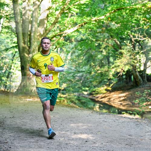28.09.2025 - 33. Volkslauf durch das schöne Alstertal Dr. Thomas Lammeyer http://msf.ph/oto/8953439 28.09.2025 10:35:36 Laufen 2258 meine-sportfotos.de