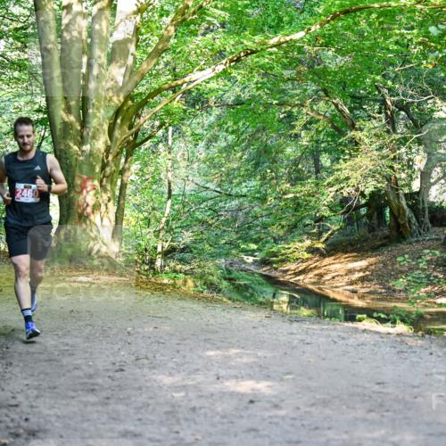 28.09.2025 - 33. Volkslauf durch das schöne Alstertal Dr. Thomas Lammeyer http://msf.ph/oto/8953450 28.09.2025 10:35:40 Laufen 2460 meine-sportfotos.de