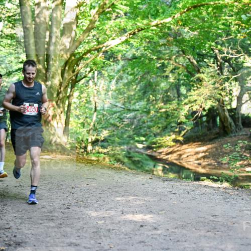 28.09.2025 - 33. Volkslauf durch das schöne Alstertal Dr. Thomas Lammeyer http://msf.ph/oto/8953454 28.09.2025 10:35:40 Laufen 2460 meine-sportfotos.de