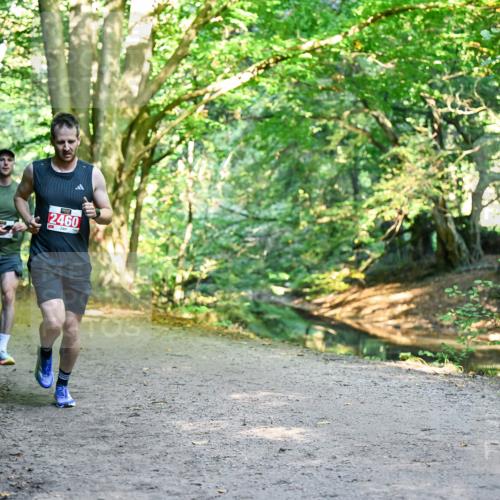 28.09.2025 - 33. Volkslauf durch das schöne Alstertal Dr. Thomas Lammeyer http://msf.ph/oto/8953456 28.09.2025 10:35:41 Laufen 2460 meine-sportfotos.de