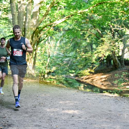 28.09.2025 - 33. Volkslauf durch das schöne Alstertal Dr. Thomas Lammeyer http://msf.ph/oto/8953457 28.09.2025 10:35:41 Laufen 159, 2460, 9 meine-sportfotos.de