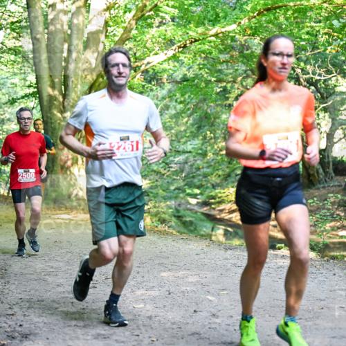 28.09.2025 - 33. Volkslauf durch das schöne Alstertal Dr. Thomas Lammeyer http://msf.ph/oto/8953506 28.09.2025 10:35:48 Laufen 2500, 2261 meine-sportfotos.de