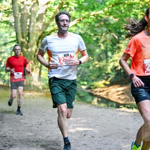 28.09.2025 - 33. Volkslauf durch das schöne Alstertal Dr. Thomas Lammeyer http://msf.ph/oto/8953509 28.09.2025 10:35:48 Laufen 2406 meine-sportfotos.de