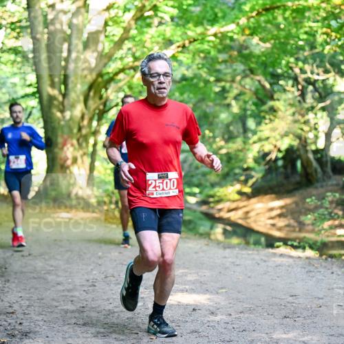 28.09.2025 - 33. Volkslauf durch das schöne Alstertal Dr. Thomas Lammeyer http://msf.ph/oto/8953519 28.09.2025 10:35:49 Laufen 2500 meine-sportfotos.de