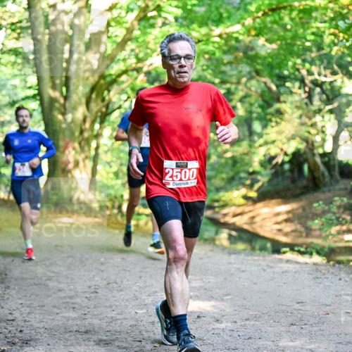 28.09.2025 - 33. Volkslauf durch das schöne Alstertal Dr. Thomas Lammeyer http://msf.ph/oto/8953520 28.09.2025 10:35:49 Laufen 2500 meine-sportfotos.de