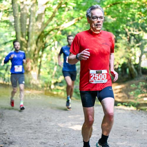 28.09.2025 - 33. Volkslauf durch das schöne Alstertal Dr. Thomas Lammeyer http://msf.ph/oto/8953523 28.09.2025 10:35:50 Laufen 2500 meine-sportfotos.de