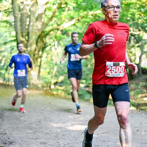 28.09.2025 - 33. Volkslauf durch das schöne Alstertal Dr. Thomas Lammeyer http://msf.ph/oto/8953524 28.09.2025 10:35:50 Laufen 2500 meine-sportfotos.de