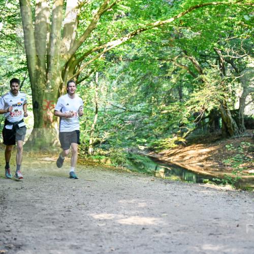 28.09.2025 - 33. Volkslauf durch das schöne Alstertal Dr. Thomas Lammeyer http://msf.ph/oto/8953540 28.09.2025 10:35:57 Laufen 2560, 0 meine-sportfotos.de