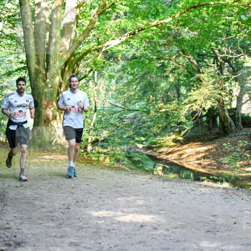 28.09.2025 - 33. Volkslauf durch das schöne Alstertal Dr. Thomas Lammeyer http://msf.ph/oto/8953541 28.09.2025 10:35:57 Laufen 2560, 358 meine-sportfotos.de