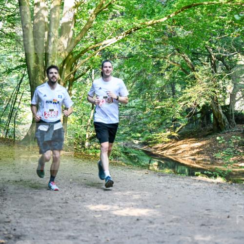 28.09.2025 - 33. Volkslauf durch das schöne Alstertal Dr. Thomas Lammeyer http://msf.ph/oto/8953548 28.09.2025 10:35:58 Laufen 2560, 9 meine-sportfotos.de