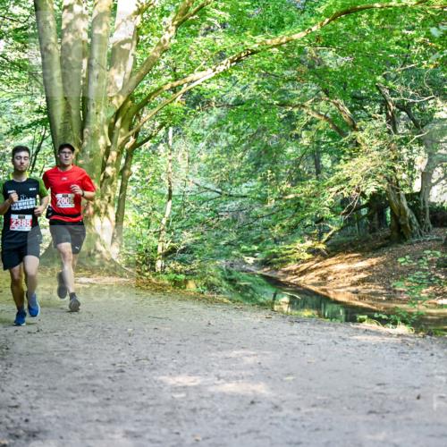 28.09.2025 - 33. Volkslauf durch das schöne Alstertal Dr. Thomas Lammeyer http://msf.ph/oto/8953567 28.09.2025 10:36:06 Laufen 2385, 2006 meine-sportfotos.de
