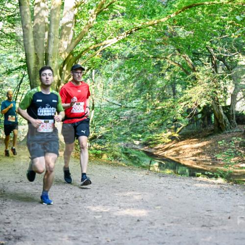 28.09.2025 - 33. Volkslauf durch das schöne Alstertal Dr. Thomas Lammeyer http://msf.ph/oto/8953579 28.09.2025 10:36:07 Laufen 2444, 2577, 2385, 2006 meine-sportfotos.de