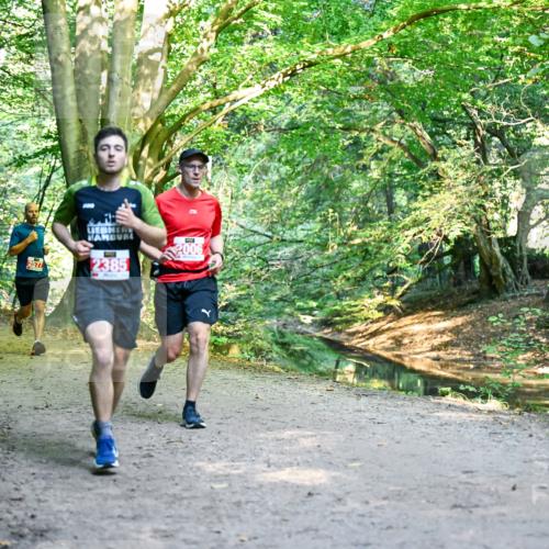 28.09.2025 - 33. Volkslauf durch das schöne Alstertal Dr. Thomas Lammeyer http://msf.ph/oto/8953581 28.09.2025 10:36:07 Laufen 244, 2577, 2385, 2006 meine-sportfotos.de