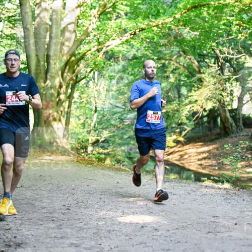 28.09.2025 - 33. Volkslauf durch das schöne Alstertal Dr. Thomas Lammeyer http://msf.ph/oto/8953602 28.09.2025 10:36:10 Laufen 244, 2577 meine-sportfotos.de