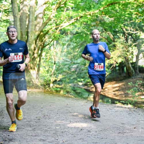 28.09.2025 - 33. Volkslauf durch das schöne Alstertal Dr. Thomas Lammeyer http://msf.ph/oto/8953605 28.09.2025 10:36:10 Laufen 0, 444, 2577 meine-sportfotos.de