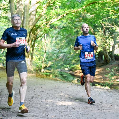 28.09.2025 - 33. Volkslauf durch das schöne Alstertal Dr. Thomas Lammeyer http://msf.ph/oto/8953607 28.09.2025 10:36:11 Laufen 0, 444, 2577 meine-sportfotos.de