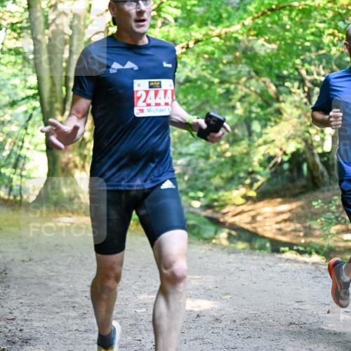 28.09.2025 - 33. Volkslauf durch das schöne Alstertal Dr. Thomas Lammeyer http://msf.ph/oto/8953614 28.09.2025 10:36:11 Laufen 2444, 2577 meine-sportfotos.de