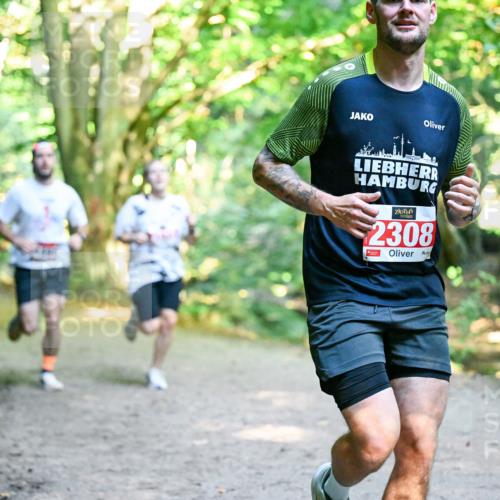28.09.2025 - 33. Volkslauf durch das schöne Alstertal Dr. Thomas Lammeyer http://msf.ph/oto/8953674 28.09.2025 10:36:25 Laufen 2308 meine-sportfotos.de