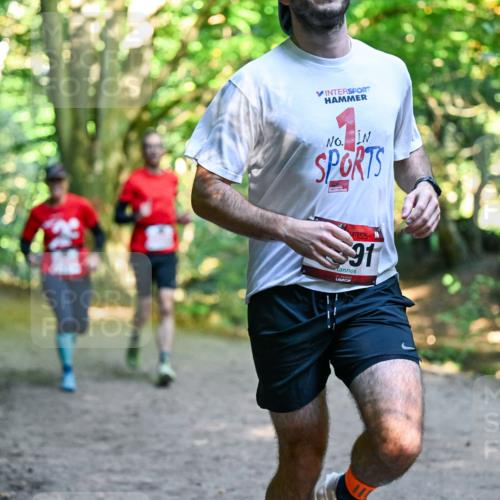 28.09.2025 - 33. Volkslauf durch das schöne Alstertal Dr. Thomas Lammeyer http://msf.ph/oto/8953691 28.09.2025 10:36:27 Laufen 91 meine-sportfotos.de
