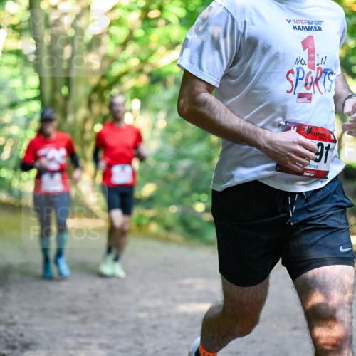28.09.2025 - 33. Volkslauf durch das schöne Alstertal Dr. Thomas Lammeyer http://msf.ph/oto/8953693 28.09.2025 10:36:27 Laufen 91 meine-sportfotos.de