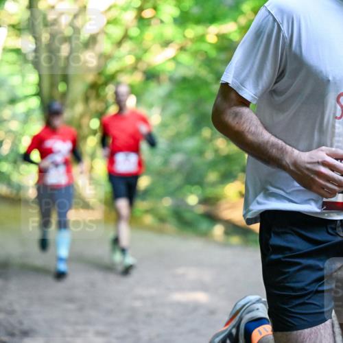 28.09.2025 - 33. Volkslauf durch das schöne Alstertal Dr. Thomas Lammeyer http://msf.ph/oto/8953695 28.09.2025 10:36:27 Laufen 591 meine-sportfotos.de