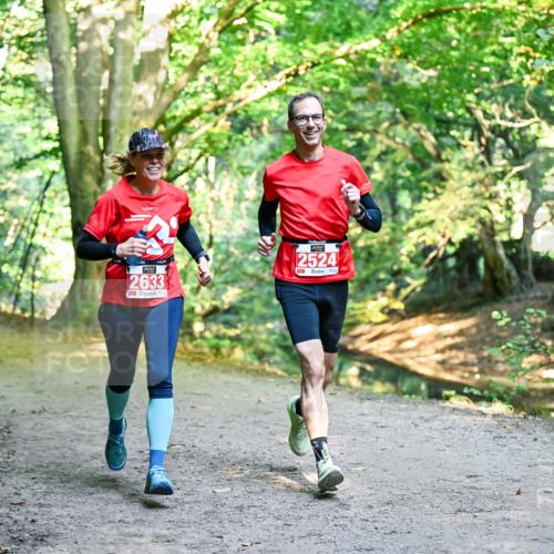 28.09.2025 - 33. Volkslauf durch das schöne Alstertal Dr. Thomas Lammeyer http://msf.ph/oto/8953698 28.09.2025 10:36:28 Laufen 2633, 2524 meine-sportfotos.de