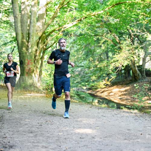 28.09.2025 - 33. Volkslauf durch das schöne Alstertal Dr. Thomas Lammeyer http://msf.ph/oto/8953722 28.09.2025 10:36:37 Laufen 241, 2199 meine-sportfotos.de