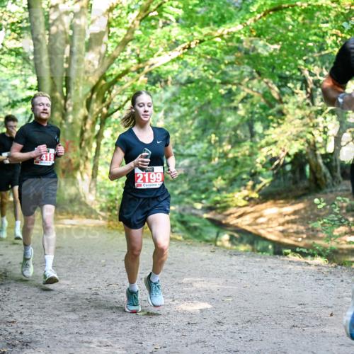 28.09.2025 - 33. Volkslauf durch das schöne Alstertal Dr. Thomas Lammeyer http://msf.ph/oto/8953736 28.09.2025 10:36:39 Laufen 4419, 2199, 201 meine-sportfotos.de