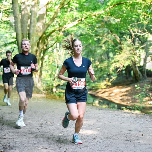 28.09.2025 - 33. Volkslauf durch das schöne Alstertal Dr. Thomas Lammeyer http://msf.ph/oto/8953740 28.09.2025 10:36:39 Laufen 2419, 1, 199 meine-sportfotos.de