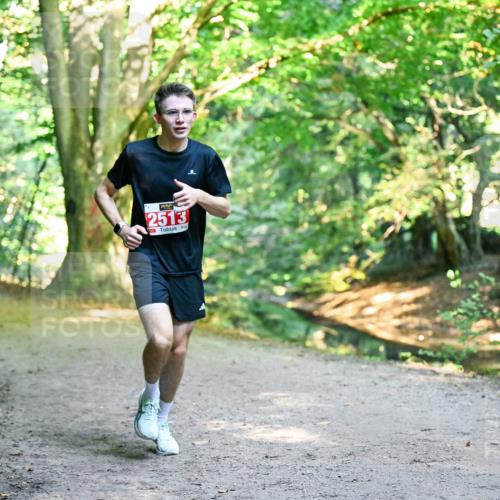 28.09.2025 - 33. Volkslauf durch das schöne Alstertal Dr. Thomas Lammeyer http://msf.ph/oto/8953758 28.09.2025 10:36:41 Laufen 2513 meine-sportfotos.de