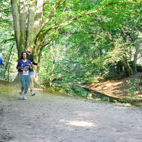 28.09.2025 - 33. Volkslauf durch das schöne Alstertal Dr. Thomas Lammeyer http://msf.ph/oto/8953763 28.09.2025 10:36:53 Laufen 2446 meine-sportfotos.de