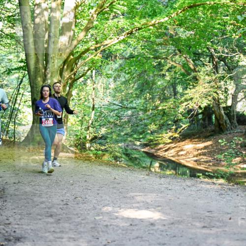 28.09.2025 - 33. Volkslauf durch das schöne Alstertal Dr. Thomas Lammeyer http://msf.ph/oto/8953764 28.09.2025 10:36:53 Laufen 2446 meine-sportfotos.de