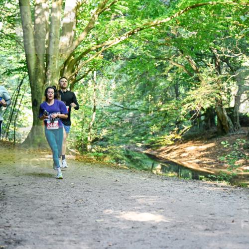 28.09.2025 - 33. Volkslauf durch das schöne Alstertal Dr. Thomas Lammeyer http://msf.ph/oto/8953766 28.09.2025 10:36:53 Laufen 2446 meine-sportfotos.de