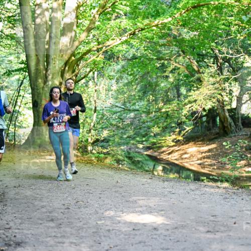28.09.2025 - 33. Volkslauf durch das schöne Alstertal Dr. Thomas Lammeyer http://msf.ph/oto/8953768 28.09.2025 10:36:53 Laufen 2446 meine-sportfotos.de