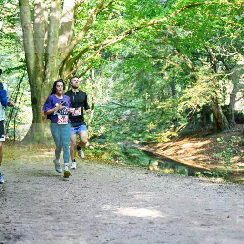 28.09.2025 - 33. Volkslauf durch das schöne Alstertal Dr. Thomas Lammeyer http://msf.ph/oto/8953769 28.09.2025 10:36:53 Laufen 2181, 2453, 2446 meine-sportfotos.de